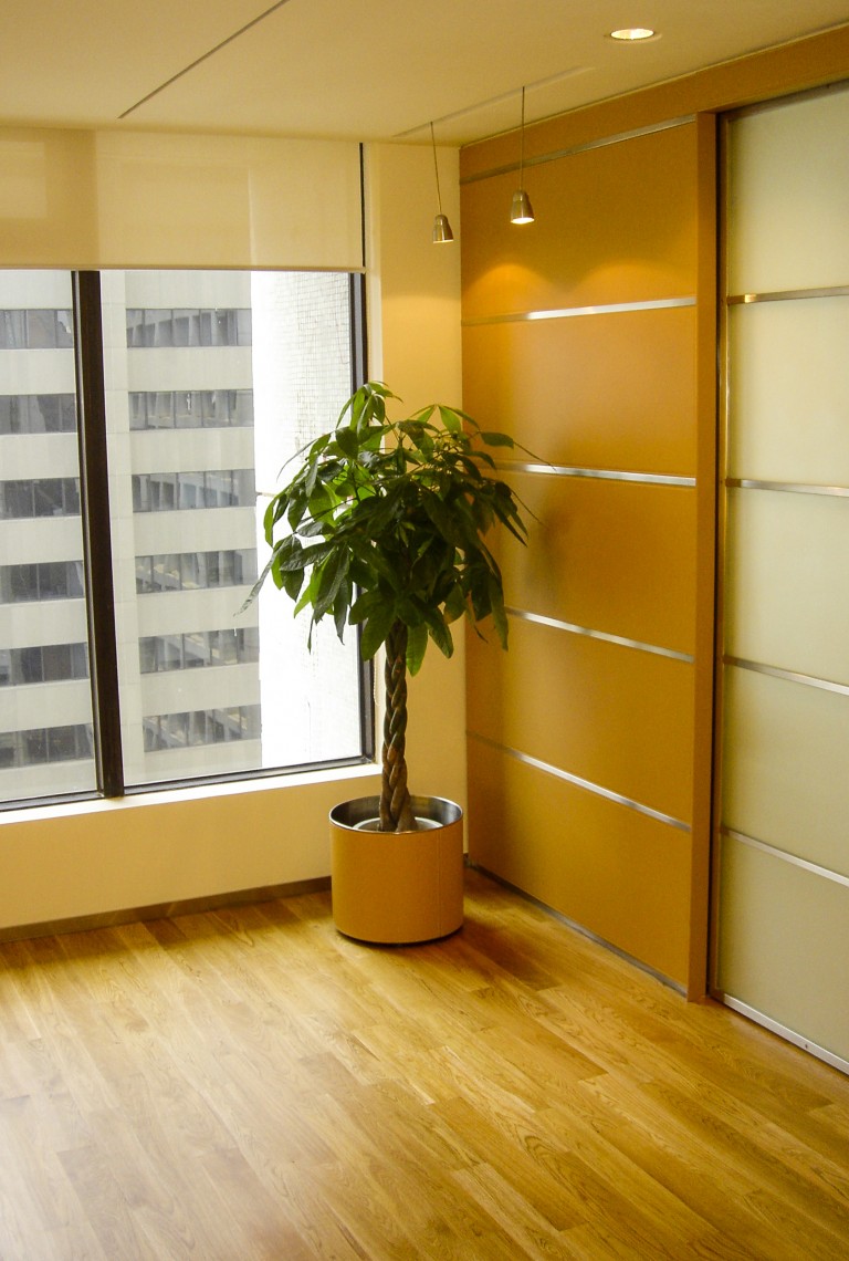 Tod's Office